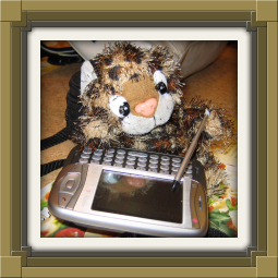 Junior typing on Mom Cat's PDA