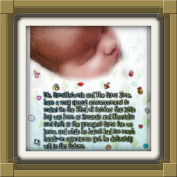 Seth baby brother announcement