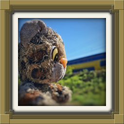 Junior trainspotting