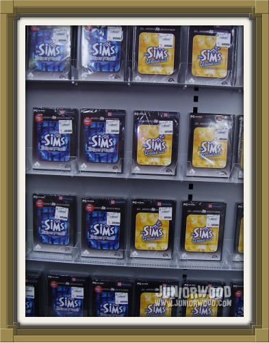 The Sims Makin' Magic and The Sims Vacation