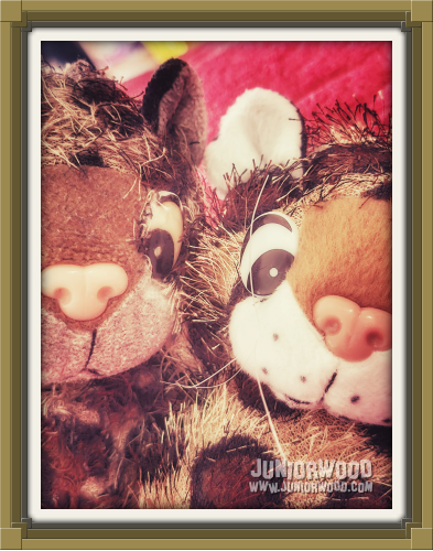 Junior and Juniorientje