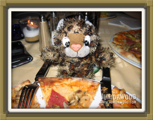 Junior is ready for pizza