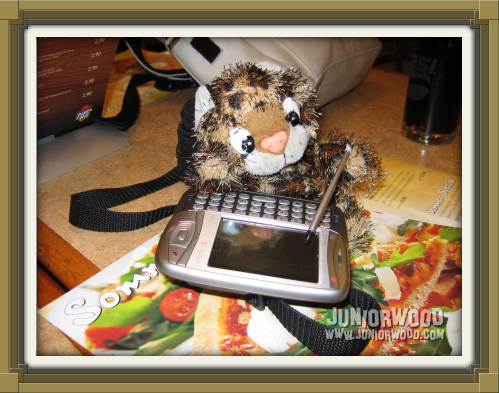 Junior Purr, famous leopard from Juniorwood