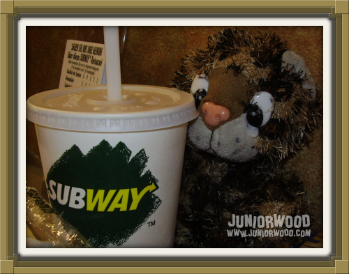Junior enjoying a drink at Subway