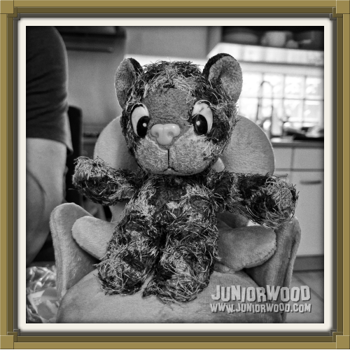 Junior's in his chair